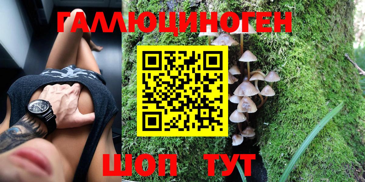 Мценск  Псилоцибиновые грибы Magic Shrooms  Псилоцибиновые грибы мухоморы  Вход с VPN 